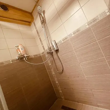 Wellness Penelope Apartment Brno